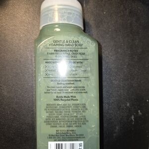 Bath & Body Works Gentle & Clean Foaming Hand Soap - Green